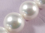 A級貝殼珍珠-10mm米彩