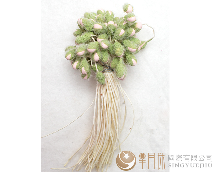 花心-23