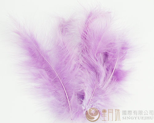 羽毛-淺紫色-100入