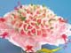 99朵花苞材料01