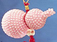 寶乾坤葫蘆吊飾-粉紅色