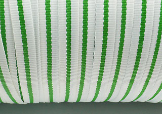 織帶-10mm-白+綠色